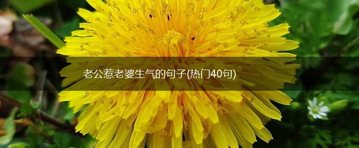 老公惹老婆生气的句子(热门40句),第1张