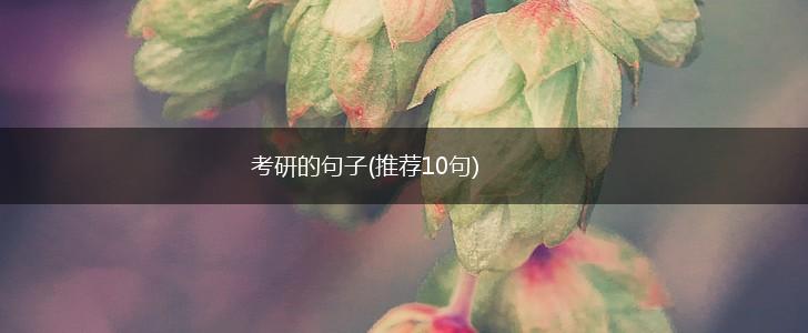 考研的句子(推荐10句),第1张