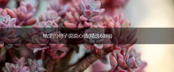 绝望的句子说说心情(精选68句),第1张