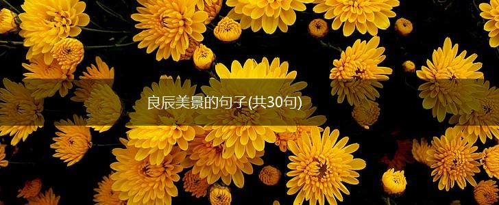 良辰美景的句子(共30句),第1张