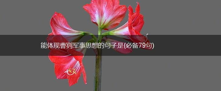 能体现曹刿军事思想的句子是(必备79句),第1张