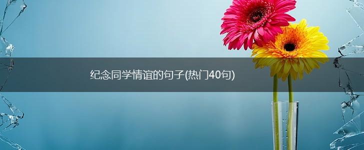 纪念同学情谊的句子(热门40句),第1张