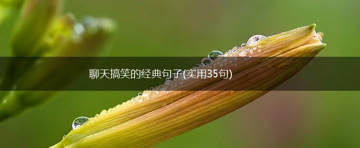 聊天搞笑的经典句子(实用35句),第1张