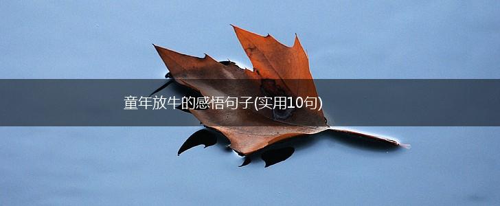 童年放牛的感悟句子(实用10句),第1张