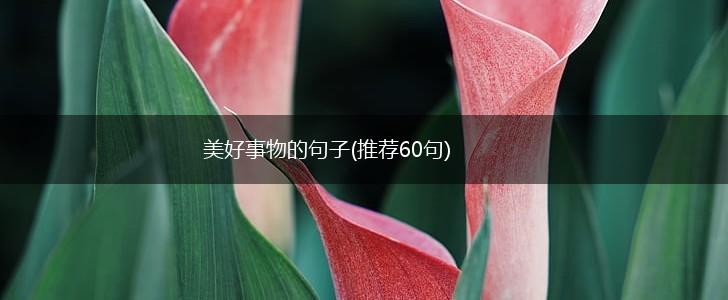 美好事物的句子(推荐60句),第1张
