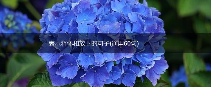 表示释怀和放下的句子(通用60句),第1张