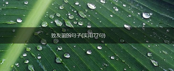 致友谊的句子(实用77句),第1张
