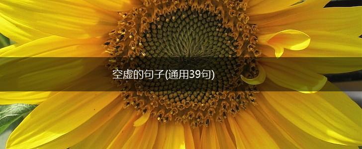 空虚的句子(通用39句),第1张