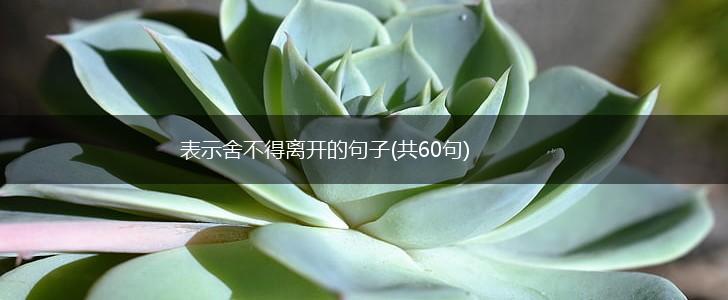 表示舍不得离开的句子(共60句),第1张