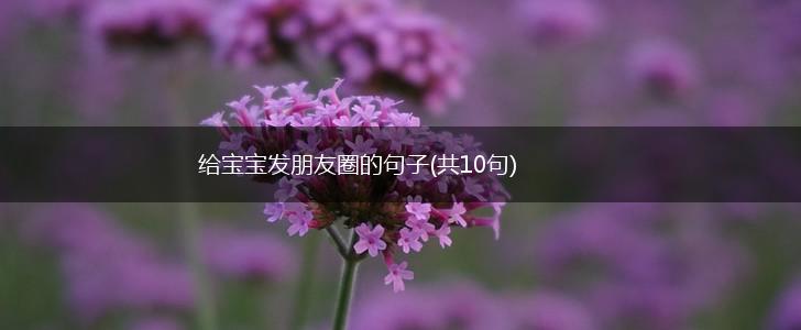 给宝宝发朋友圈的句子(共10句),第1张