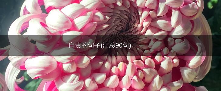 自责的句子(汇总90句),第1张