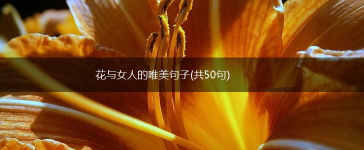 花与女人的唯美句子(共50句),第1张