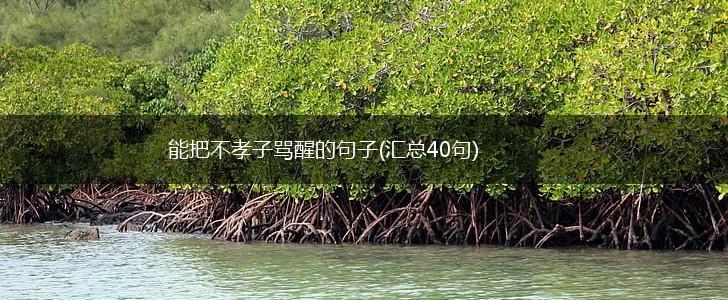 能把不孝子骂醒的句子(汇总40句),第1张