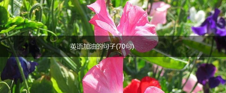 英语加油的句子(70句),第1张