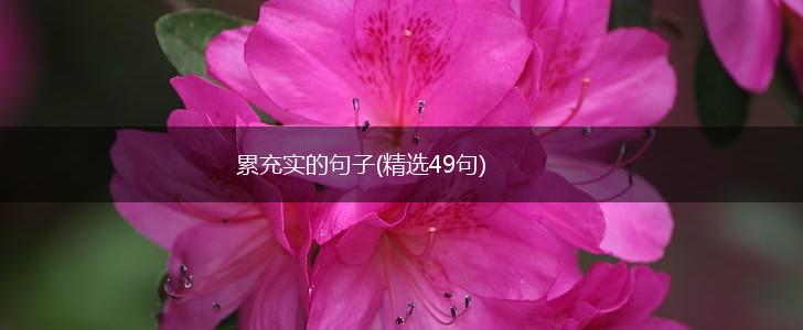 累充实的句子(精选49句),第1张