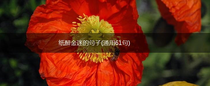 纸醉金迷的句子(通用61句),第1张