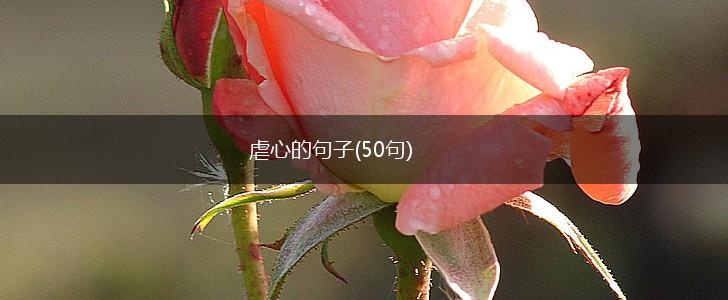 虐心的句子(50句),第1张