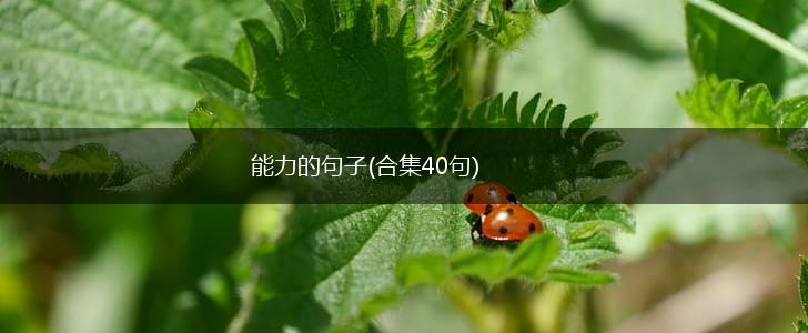 能力的句子(合集40句),第1张