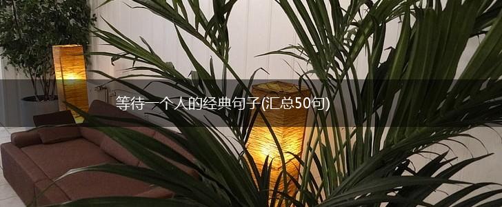 等待一个人的经典句子(汇总50句),第1张