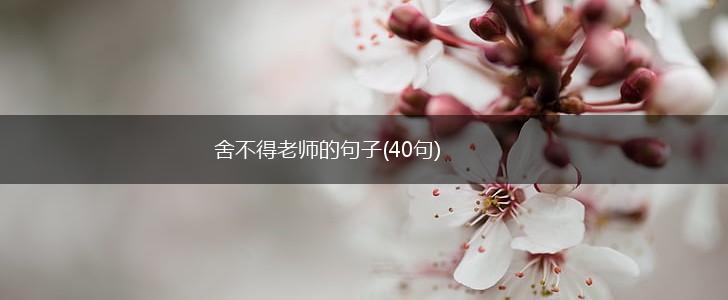 舍不得老师的句子(40句),第1张