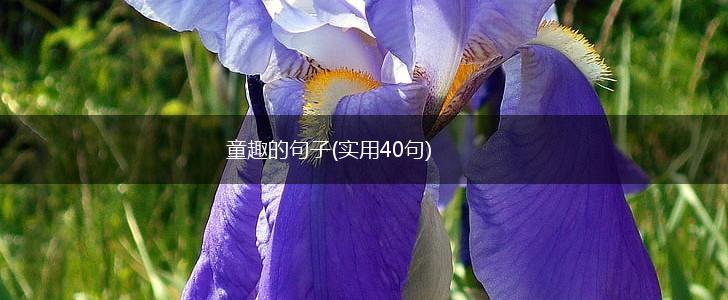 童趣的句子(实用40句),第1张
