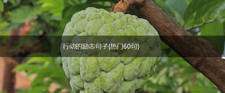 行动的励志句子(热门60句),第1张