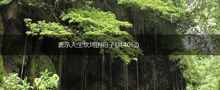 表示人生坎坷的句子(共40句),第1张