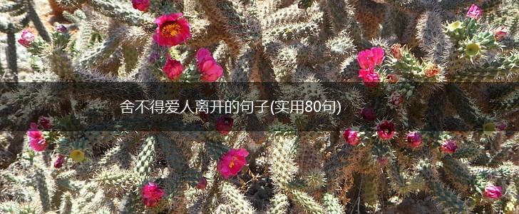舍不得爱人离开的句子(实用80句),第1张