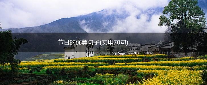 节日的优美句子(实用70句),第1张