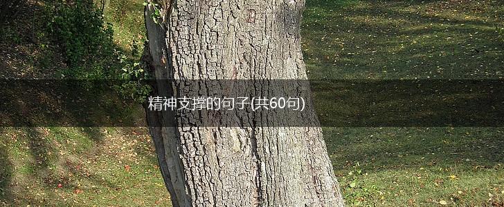 精神支撑的句子(共60句),第1张