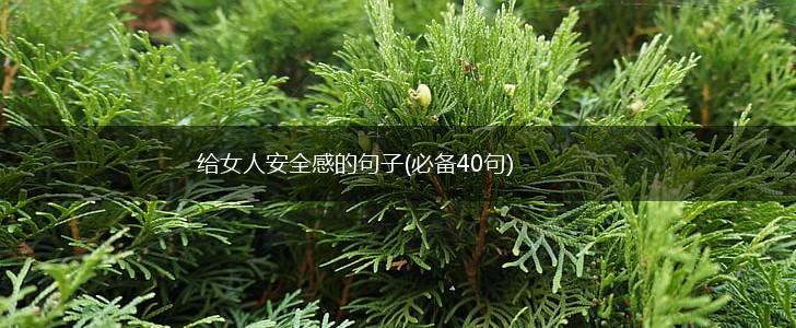 给女人安全感的句子(必备40句),第1张