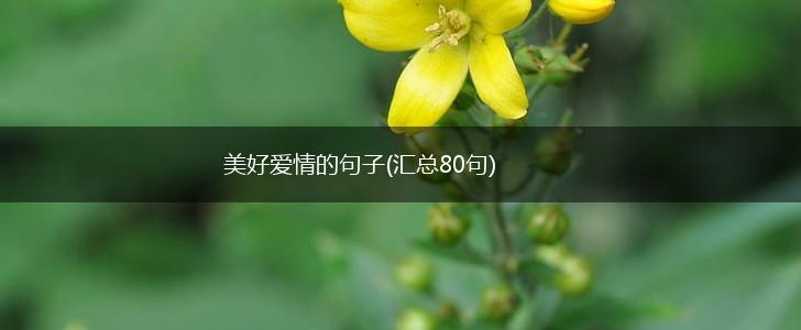 美好爱情的句子(汇总80句),第1张