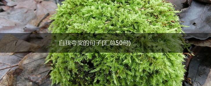 自我夸奖的句子(汇总50句),第1张
