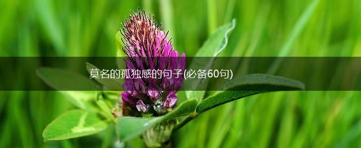 莫名的孤独感的句子(必备60句),第1张