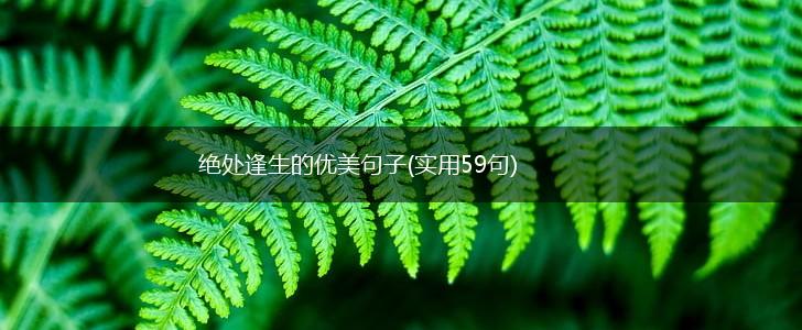 绝处逢生的优美句子(实用59句),第1张