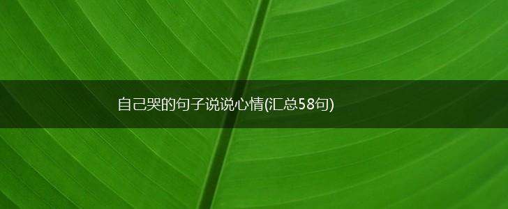 自己哭的句子说说心情(汇总58句),第1张