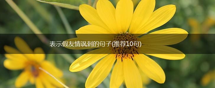 表示假友情讽刺的句子(推荐10句),第1张