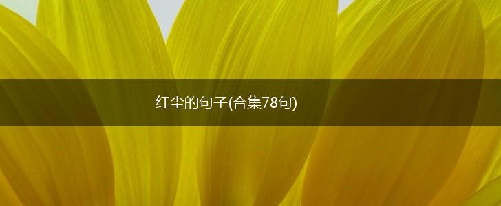 红尘的句子(合集78句),第1张