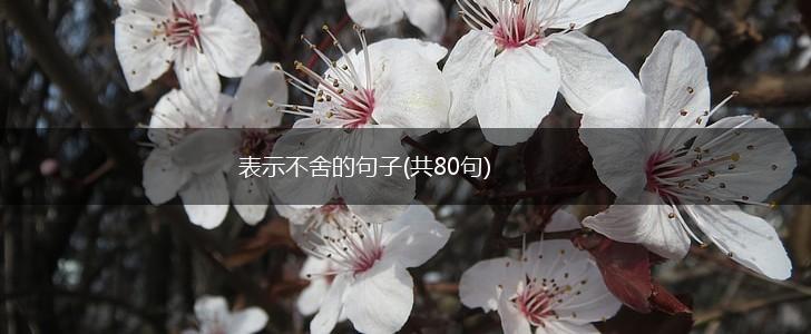 表示不舍的句子(共80句),第1张