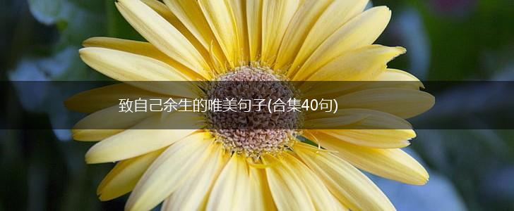 致自己余生的唯美句子(合集40句),第1张