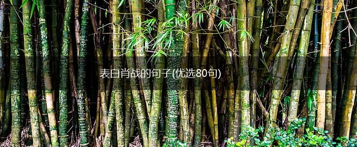 表白肖战的句子(优选80句),第1张