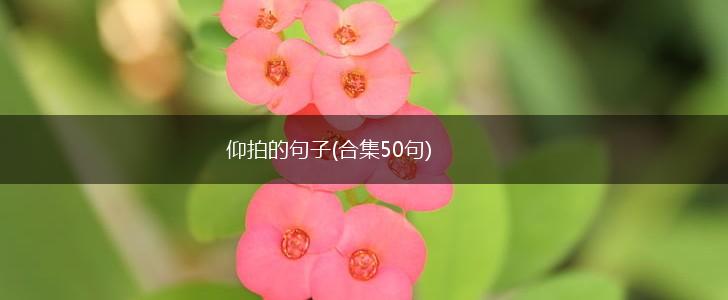 仰拍的句子(合集50句),第1张