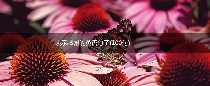 表示感谢的英语句子(100句),第1张