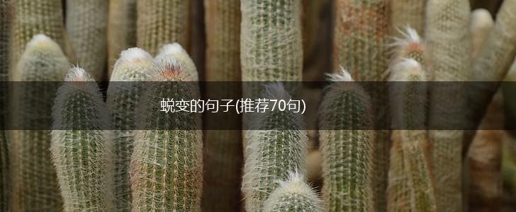 蜕变的句子(推荐70句),第1张