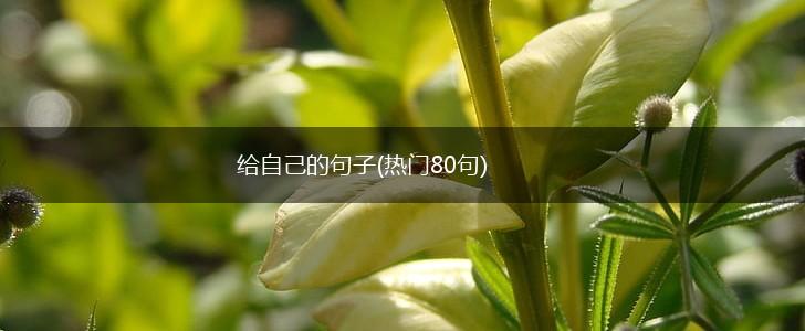 给自己的句子(热门80句),第1张