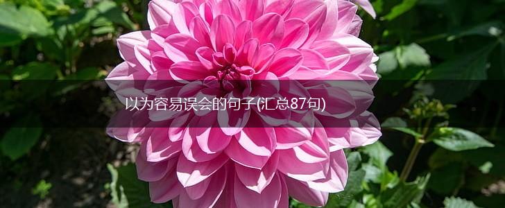 以为容易误会的句子(汇总87句),第1张