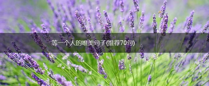 等一个人的唯美句子(推荐70句),第1张