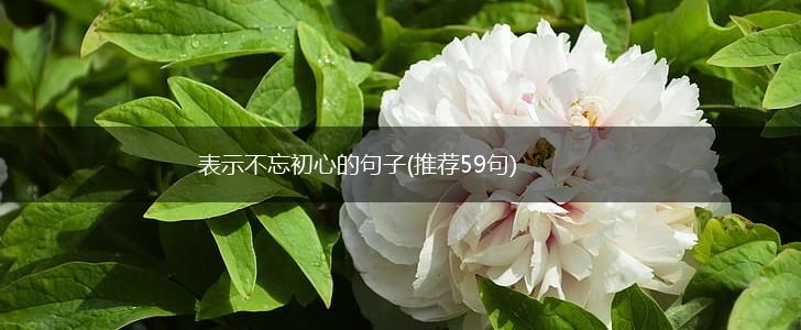 表示不忘初心的句子(推荐59句),第1张