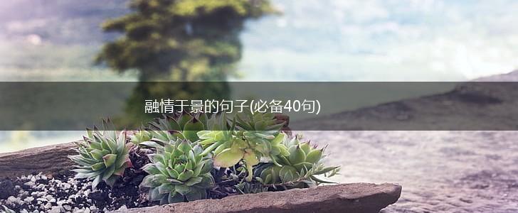 融情于景的句子(必备40句),第1张