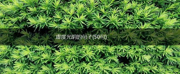 虚度光阴的句子(50句),第1张